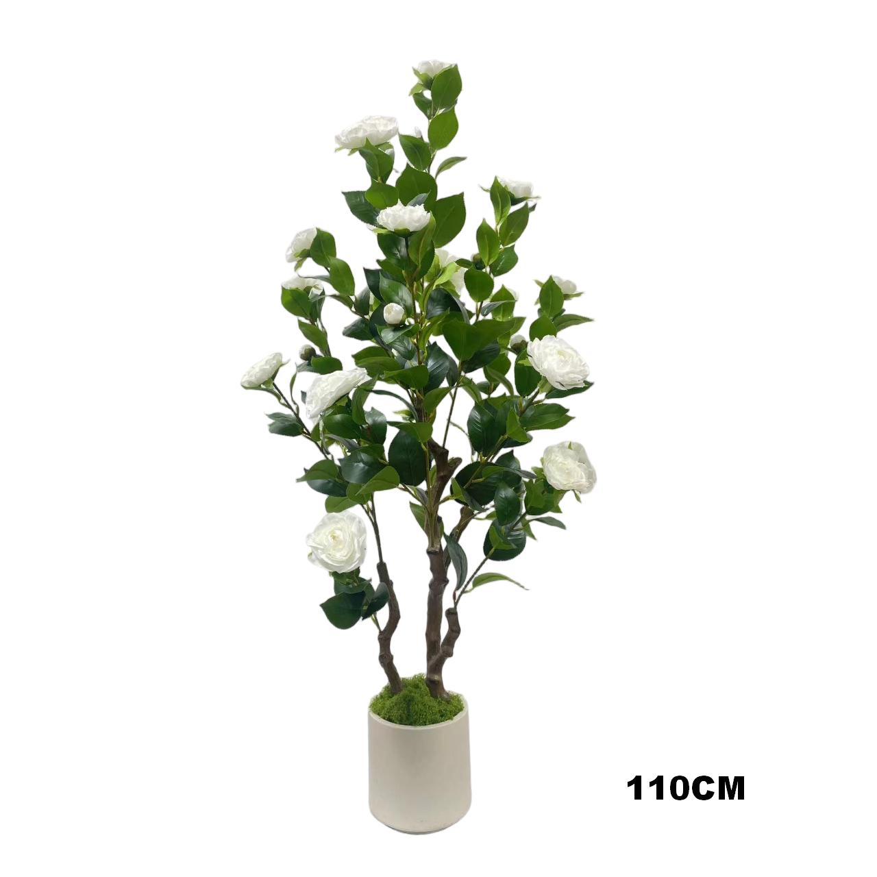 Rose Tree(White)